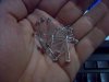 100_5319.JPG 100_5319.JPG