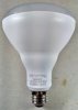 Bulb 20200125_141134_HDR.jpg