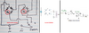 bridge rectifiers.png