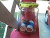 100_8565.JPG 100_8565.JPG