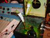 DSC06090.JPG