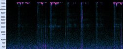 sound frequency.JPG