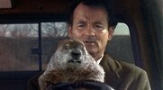 31ah-groundhogday-movies-mobileMasterAt3x.jpg