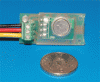RLBm.gif
