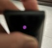 IMG_1139.jpeg