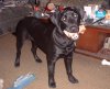 PIC00005a.jpg