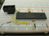 dspic1002sm.jpg dspic1002sm.jpg