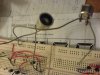 DSC01444.JPG