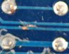 junebug-underside.JPG