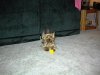 ducky2.jpg