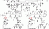 FETs.GIF