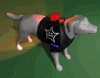 k9lights.gif