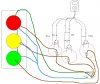 trafficlight diagram.JPG