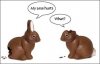 easter.jpg
