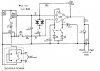 Plant%20measurement%20modified.JPG