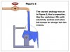 Figure 2.jpg
