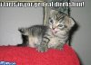 farts[1].jpg