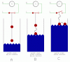 FLOAT-SWITCH.gif