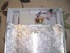 LightTable2.jpg
