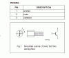 AAesp01.gif