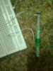 Inductor..GIF