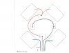 motor wires -orange is white wire.jpg