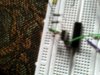 Picture 002.jpg