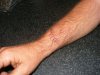 arm.jpg