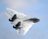F-14 Tomcat.jpg