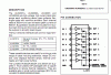 AAesp01.gif