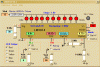 AAesp01.gif