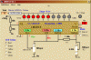 AAesp05.gif
