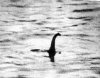 nessie.jpg