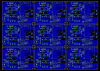 9XCOWFEEDER-BRD.gif