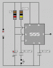 mono555.gif