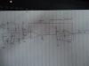 DSC00096.gif