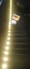 DSC04906.JPG