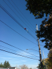 Ballons in Power Line.png