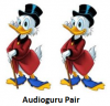 Audioguru Pair.png