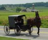 Amish.jpg