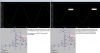 amplifier with 30 then 8 ohms loads.png