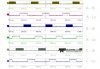 Signal phases from PSoC during rotation.jpg