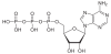 1200px-Adenosintriphosphat_protoniert.svg.png