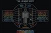 human-body-composition-59021b3c5f9b5810dc784933.jpg