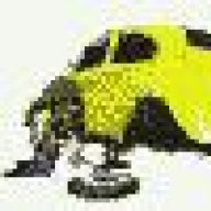 niq_ro
