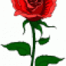 lxkarthi