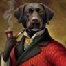 bigdogguru