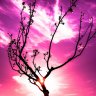 Peace9Love9Hope