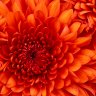 Geethpriya