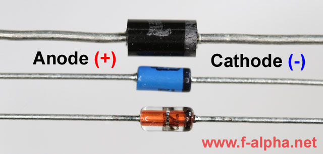 diode_portrait_en_web.jpg